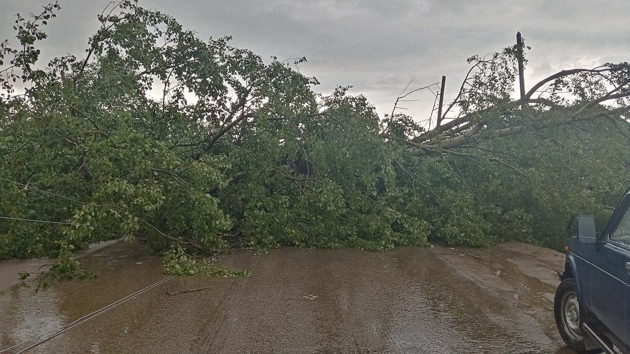 Главная картинка новости: В Даровском прошел ураган: фото и видео последствий