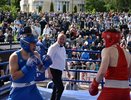 Кировчане одолели белорусов в боксерских поединках: бои, которые видели сотни жителей