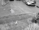 В Кирове закрыли детский сад, откуда в прошлом году сбежала 1,5-годовалая девочка