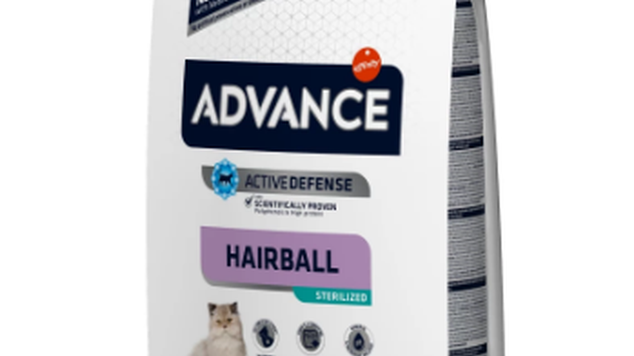 Главная картинка новости: Можно ли кормить кошку одним и тем же кормом?