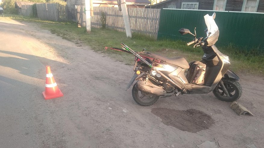 Мужчина сбил собаку на скутере и сам получил травмы в Кировской области