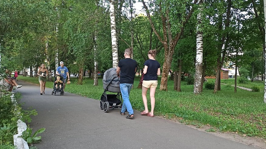 Главная картинка новости: Самый короткий брак в Кировской области продлился 1,5 месяца