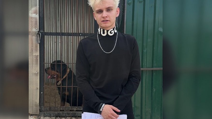 Главная картинка новости: Нашли новое место, но нужен ремонт: известный в России блогер обратился к властям за помощью для собачьего приюта