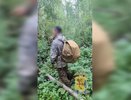 В Кирове нашли грибника, который увлекся сбором и заблудился в лесу