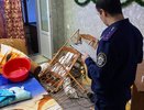 Не защитила девочку от пьяной матери: в Кирово-Чепецке вынесли приговор инспектору ПДН за халатность