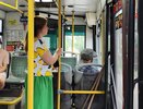 Кировчане стали чаще ездить на общественном транспорте