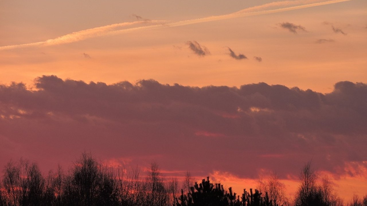 Главная картинка новости: До конца августа для жителей Кировской области объявили метеопредупреждение