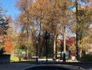 В Кирове потеплеет до +20 градусов