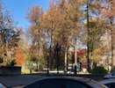 Заморозки ночью и до +22 градусов днем: кировчанам дали прогноз на выходные