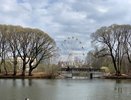 В Кирове пруды у цирка не будут наполнять водой