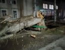 Вырванный тополь и выключенный свет: жители Кировской области жалуются на последствия непогоды