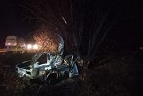 В Кировской области автомобиль загорелся после удара о дерево: четыре человека погибли