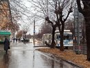 На смену снегу придут ливни: в середине недели погода в Кирове резко изменится