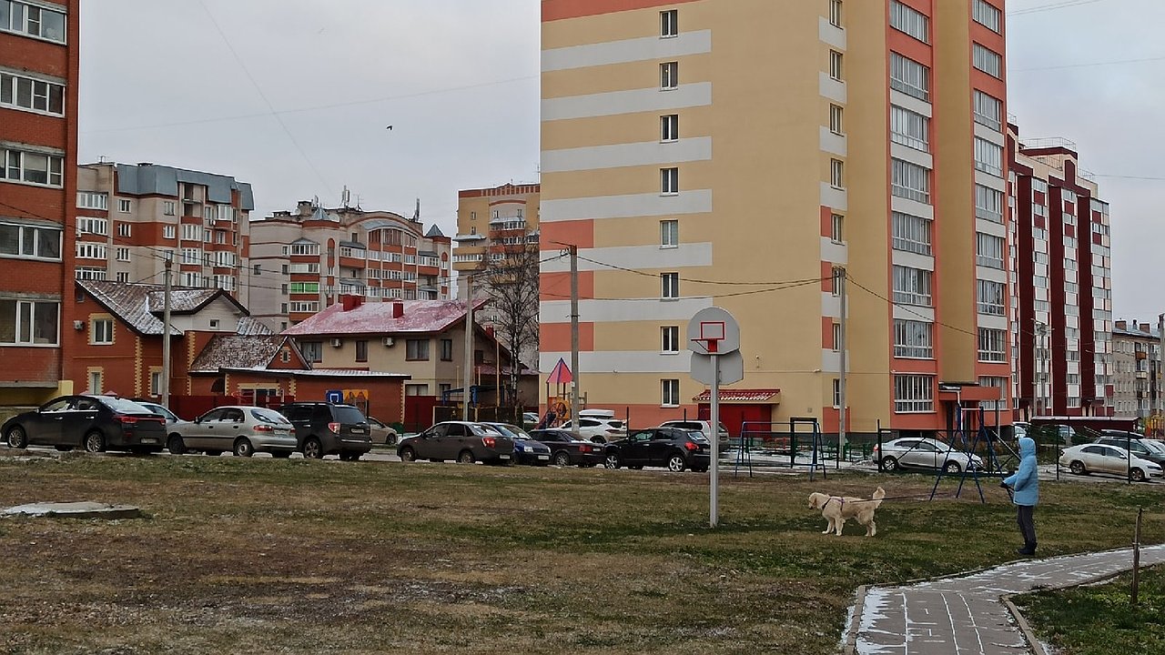 Главная картинка новости: Самый теплый ноябрь с 2017 года: метеорологи сделали прогноз на текущий месяц для кировчан