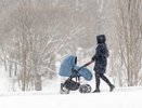 Кировчанам обещают двухдневную метель