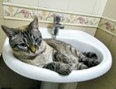 В Кирове в жилом доме замерзли трубы с горячей и холодной водой