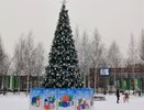 Кировские базары с елками откроются с 20 декабря