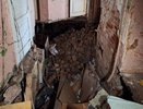 94-летняя кировчанка, которая осталось без воды из-за провалившегося пола, получила новую квартиру