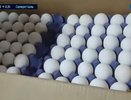 В Россию ввезли 18 тонн яиц из Азербайджана