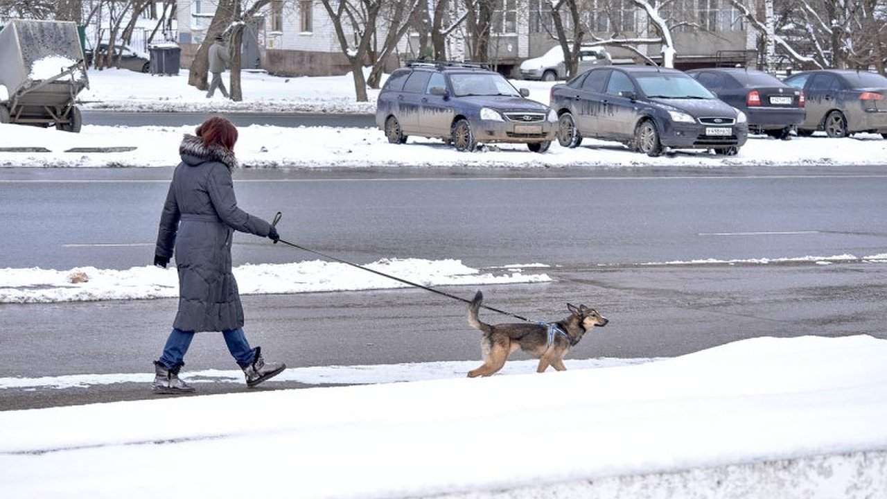 Главная картинка новости: Выигрыш в лотерее и возврат старого долга: чей кошелек вырастет в первые дни января