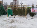 Кировчанам разрешили перевозить бесплатно небольшие ёлки в общественном транспорте