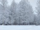 Во второй половине января кировчанам обещают потепление и снегопады