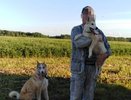 В Кировской области оштрафовали хозяина покусавшей ребенка собаки