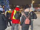 Обошли каждый угол, осмотрели каждую дыру: как проходили поиски кота Твикса в Кирове