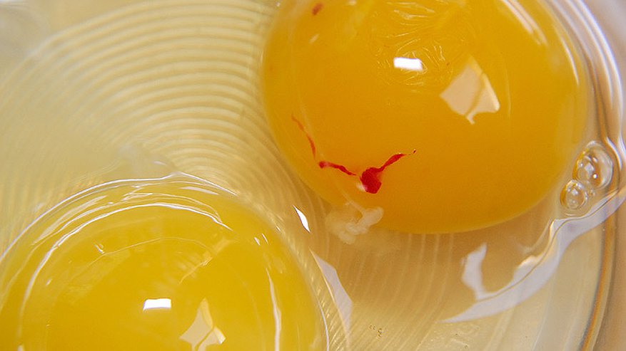 Яйца с кровью: опасно ли есть и как вычислить в магазине