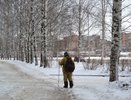 В Госдуме рассмотрят вопрос о введении новых льгот для пенсионеров