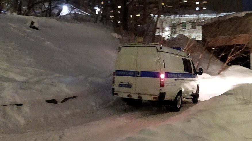 В Кировской области двух мужчин, которые матерились в общественных местах, отправили в полицию