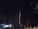 В честь Международного женского дня на кировской телебашне зажгутся праздничные огни