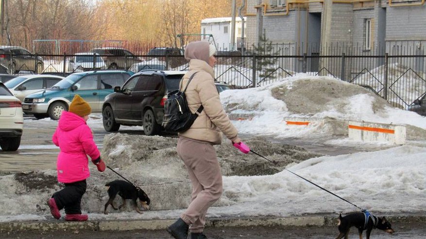 Синоптики рассказали, когда в Кирове потеплеет до +10 градусов
