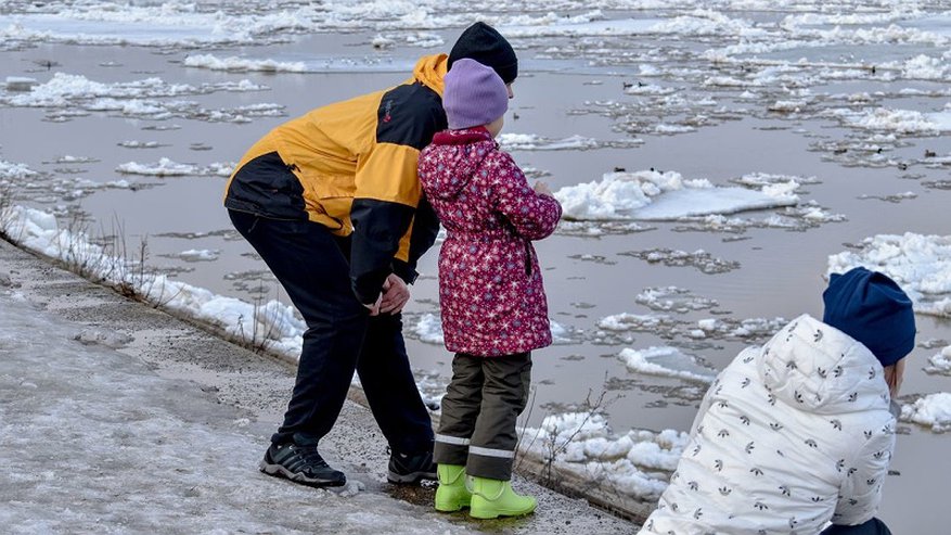 Ребенку-инвалиду в Кировской области не выдавали лекарства для лечения сахарного диабета