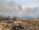 В Кирове несколько часов тушили крупный пожар на Лесозаводской