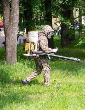 За неделю клещи покусали четырех жителей Кировской области