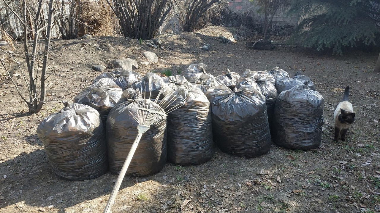 Главная картинка новости: Директора фирмы из Слободского отправили за долги на обязработы