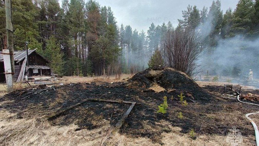 Жителей Кирова и области могут оштрафовать за сжигание травы и листьев