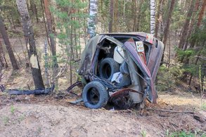 В Кировской области врезался в дерево и погиб мужчина на "двенашке"