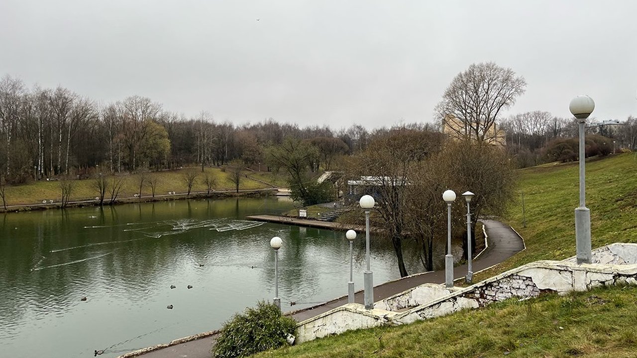 Главная картинка новости: Депутат предложил ужесточить контроль по содержанию парков в Кирове