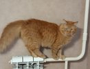 В Кировской области объявили об окончании отопительного сезона с 14 мая