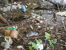 Тех, кто мусорит в лесах Кировской области, будут вычислять с помощью фотоловушек