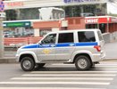 В Кирове всю ночь искали пропавшего во время прогулки мальчика