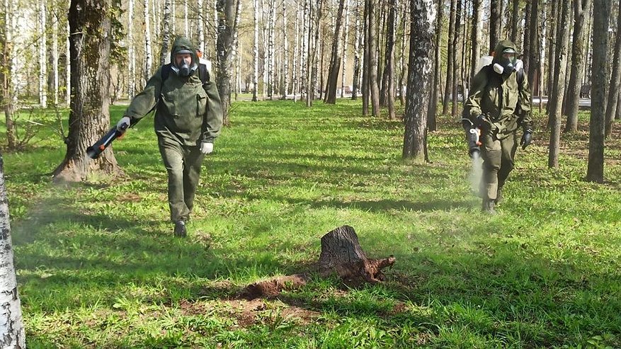 В Кировской области продолжают обрабатывать территории от клещей