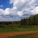 Посещение ограничено: в лесах Кировской области установили особый режим