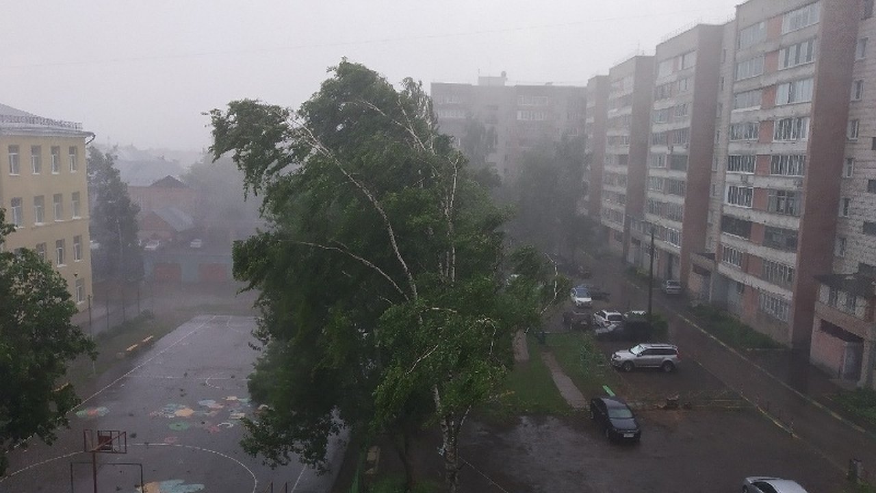 Главная картинка новости: Грозы на всей территории области: какой день на неделе станет самым опасным погоде