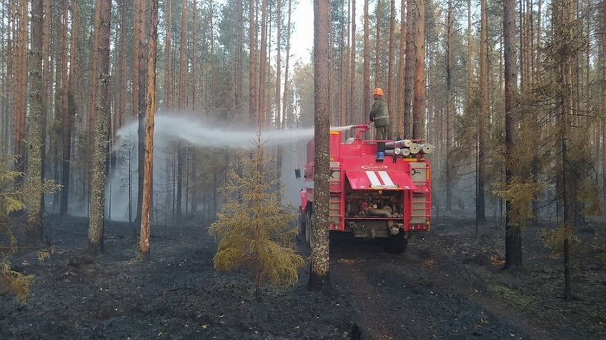 В Слободском районе тушили лесной пожар