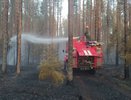 В Кировской области потушили очередной лесной пожар