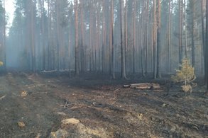 Недалеко от Кирова загорелся лес