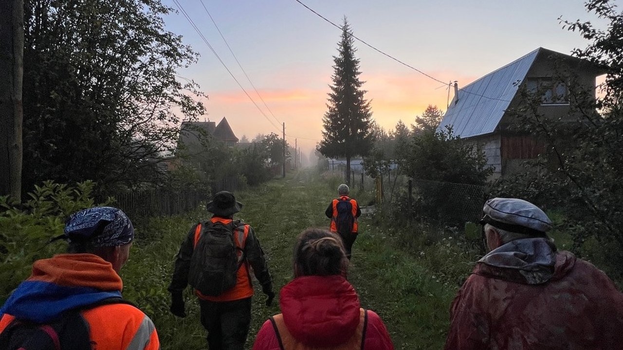 Главная картинка новости: В Кирово-Чепецком районе без вести пропал 60-летний житель